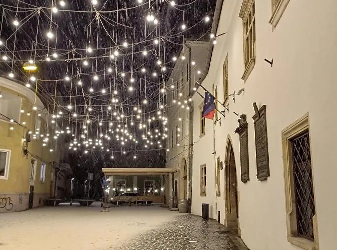 ホテル Fullton 3*